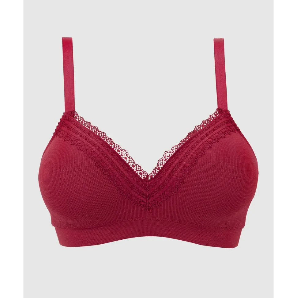 Buy Agathe Comfortable Padded Wirefree Bra with Lace