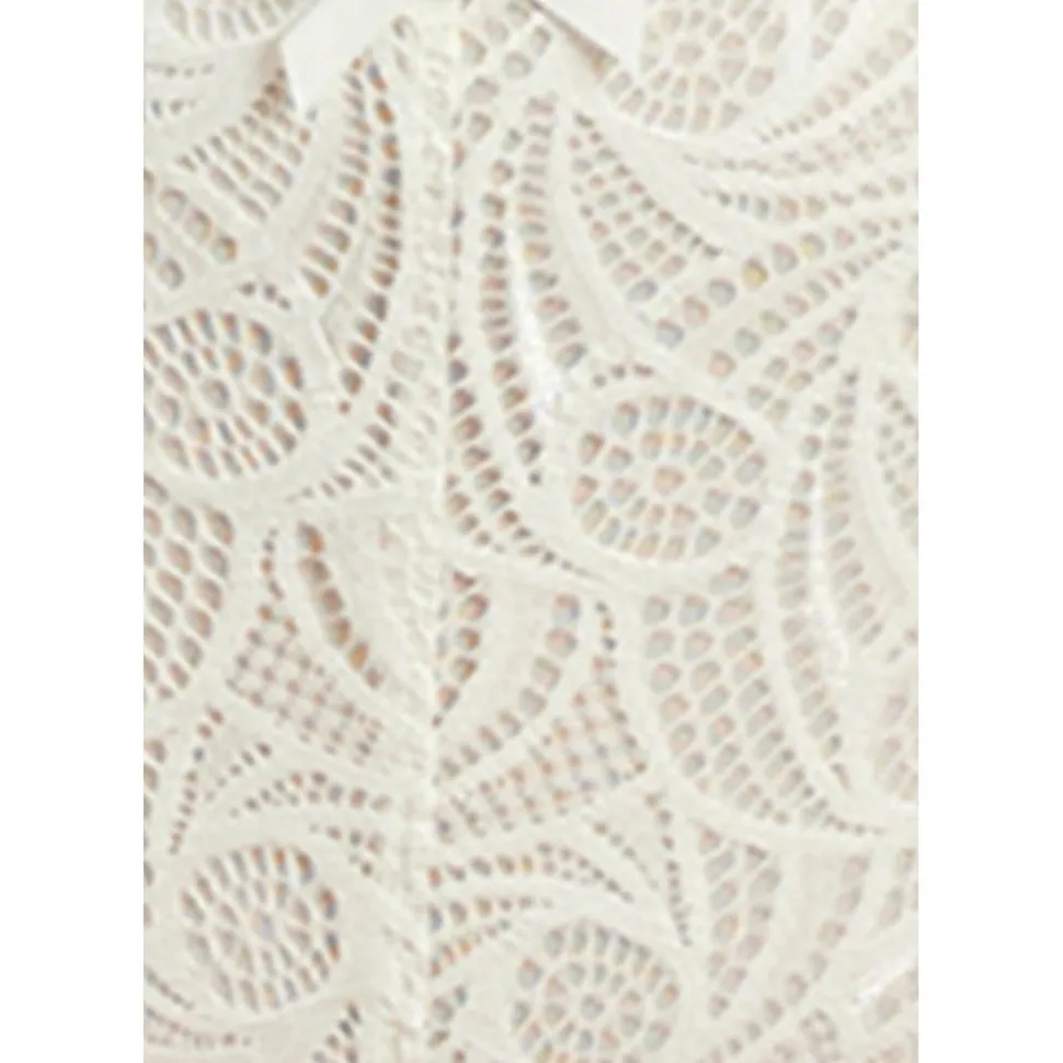 Buy Ariane Classic Lace & Microfiber Brief-Ivory