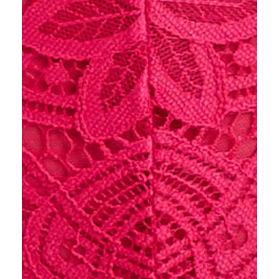 Buy Attirance Low Rise Mesh & Lace Thong-Jester Red