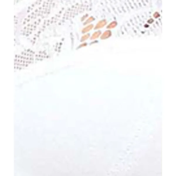 Buy Coton d'Arum Organic Cotton Underwire Bra-White