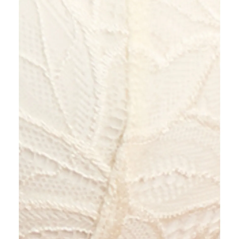 Buy Divine Padded Wired Lace Bra