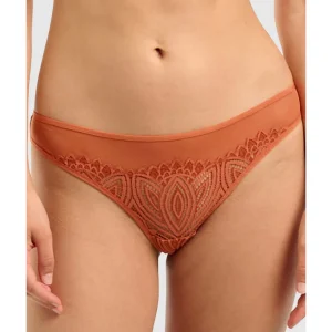Buy Lisa High Cut Brazilian Lace Brief-Cinnamon