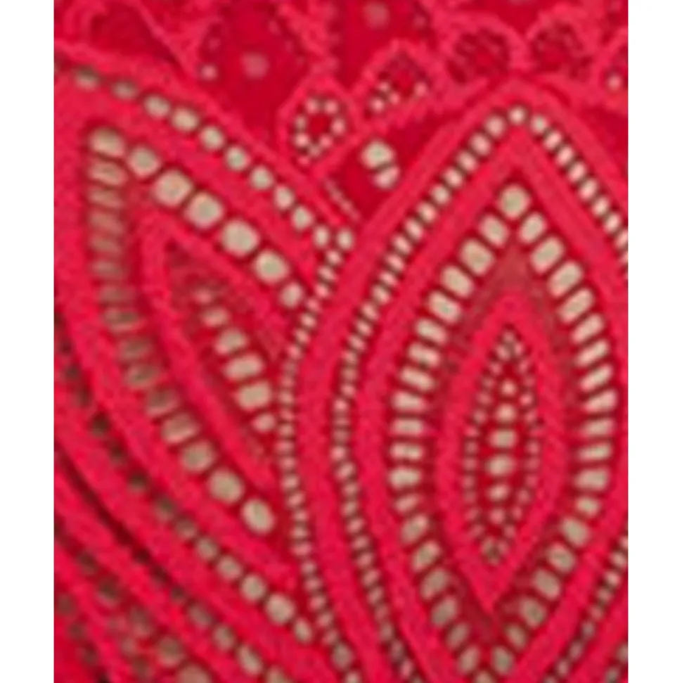 Buy Lisa High Cut Brazilian Lace Brief-Crimson