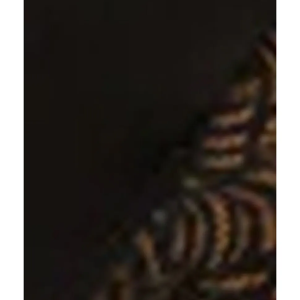 Buy The Friday Sustainable Lace Trim Brief-Black