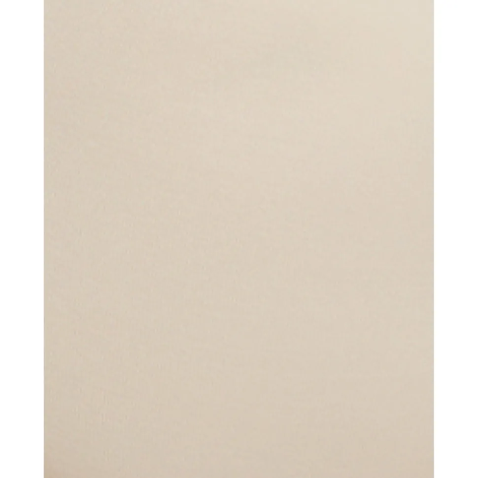 Buy Unbelievable Comfort® Plus Size High Waist Shaping Brief