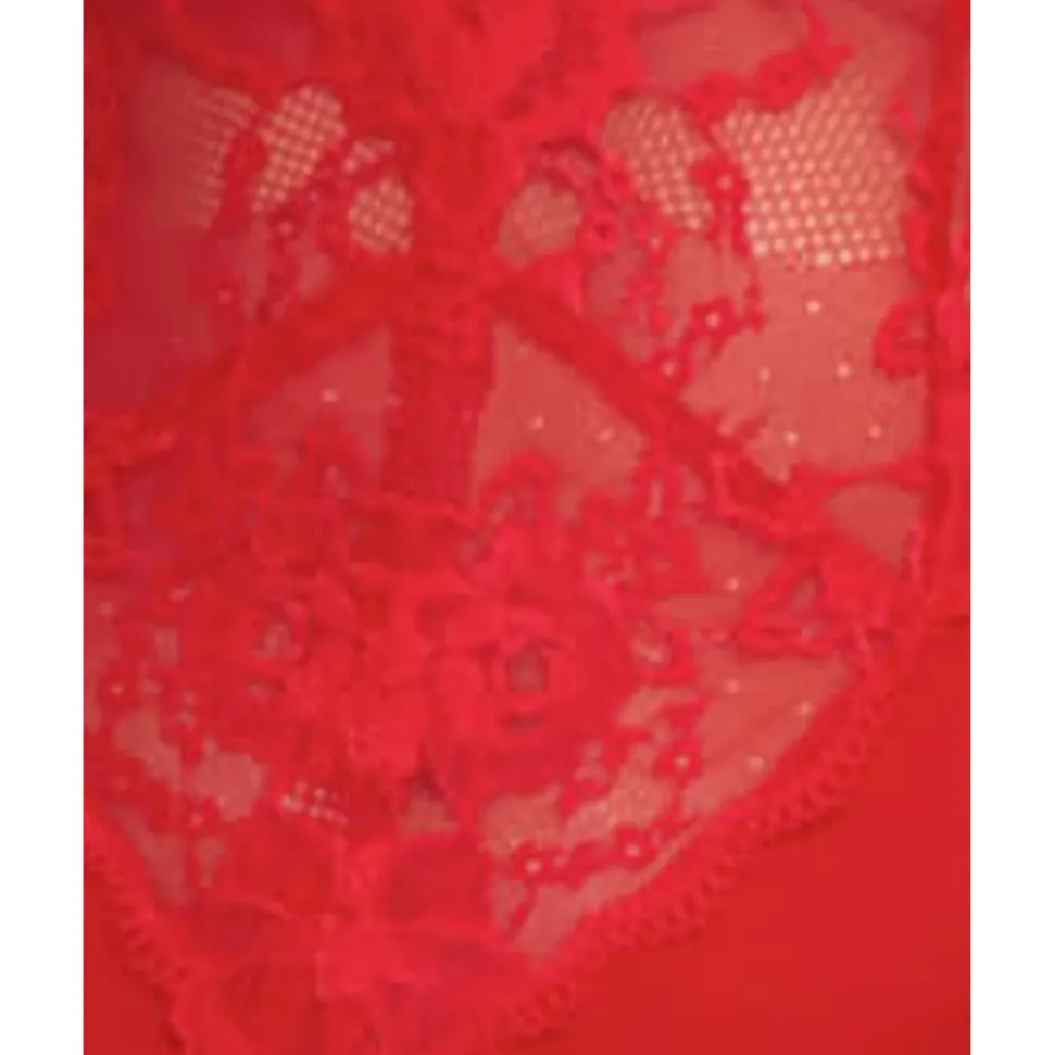 Buy Viscose & Sheer Lace Lingerie Bodysuit